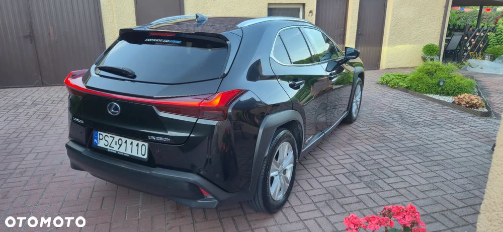 Lexus UX 250h Prestige AWD - 22