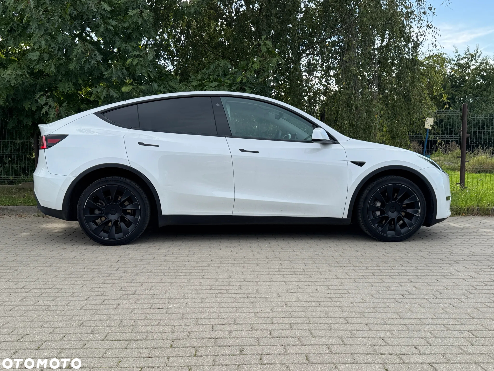 Tesla Y Model Long Range Dual Motor AWD - 2