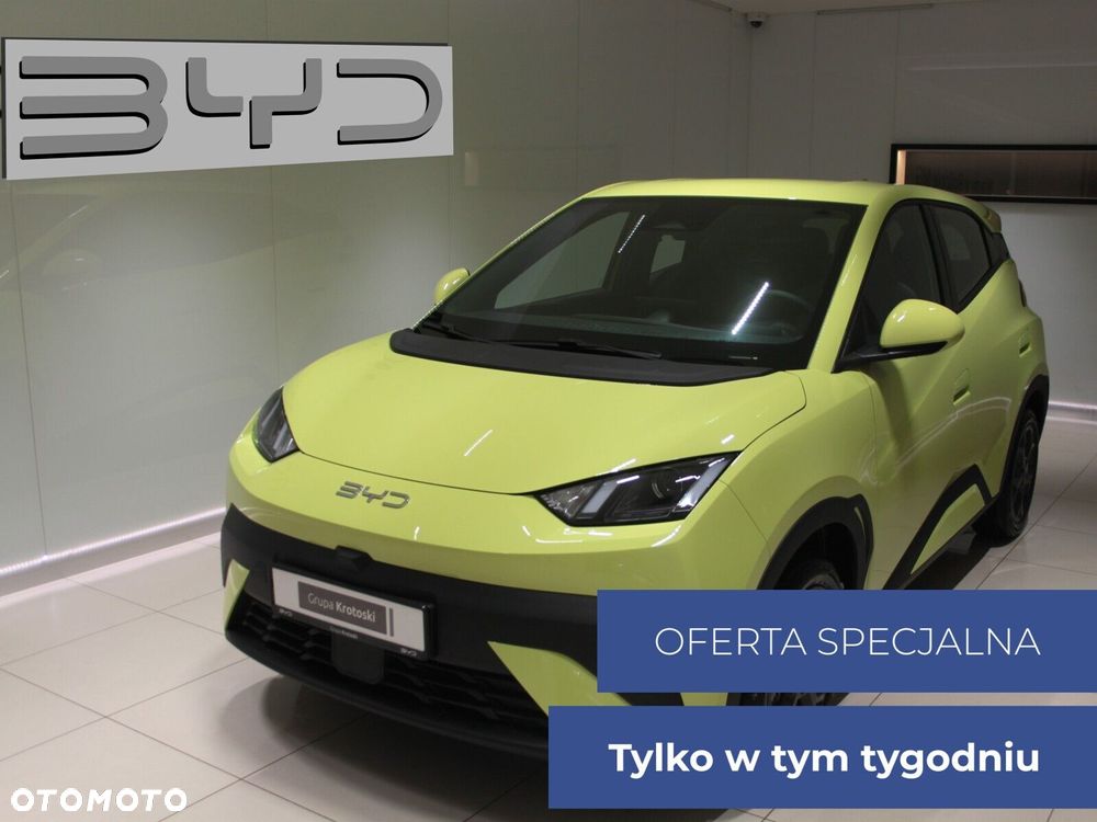 BYD Dolphin Surf - 1