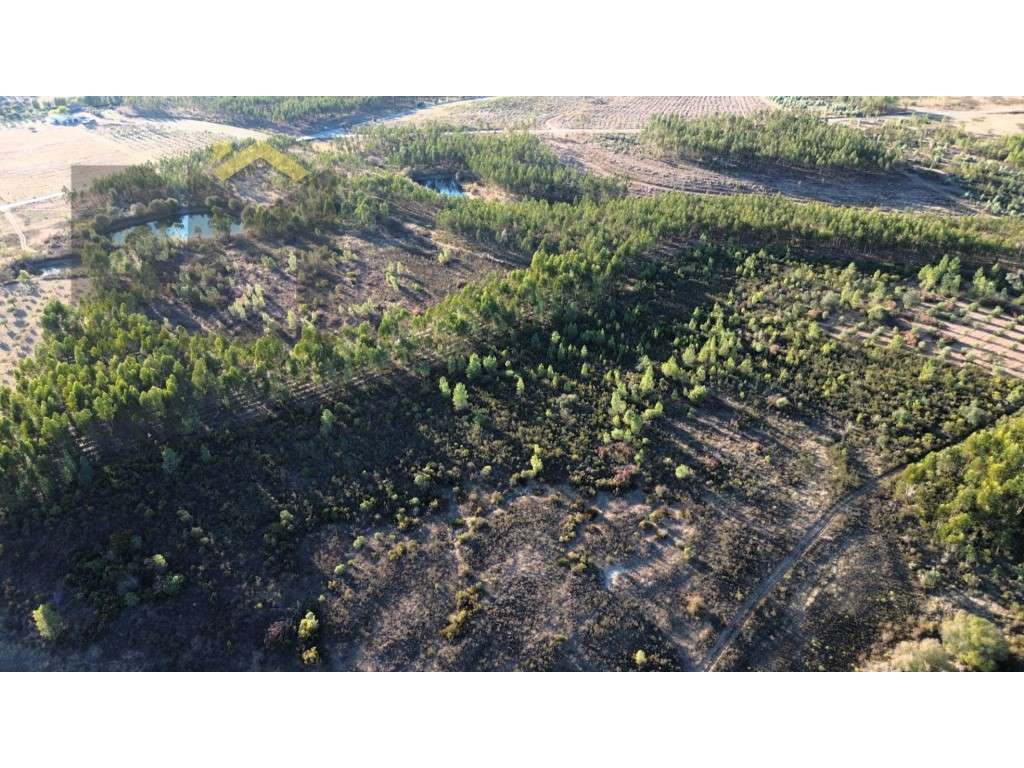 Terreno rústico com 28.640 m² à venda, próximo do Chão da Vã e a 15... - Grande imagem: 5/15