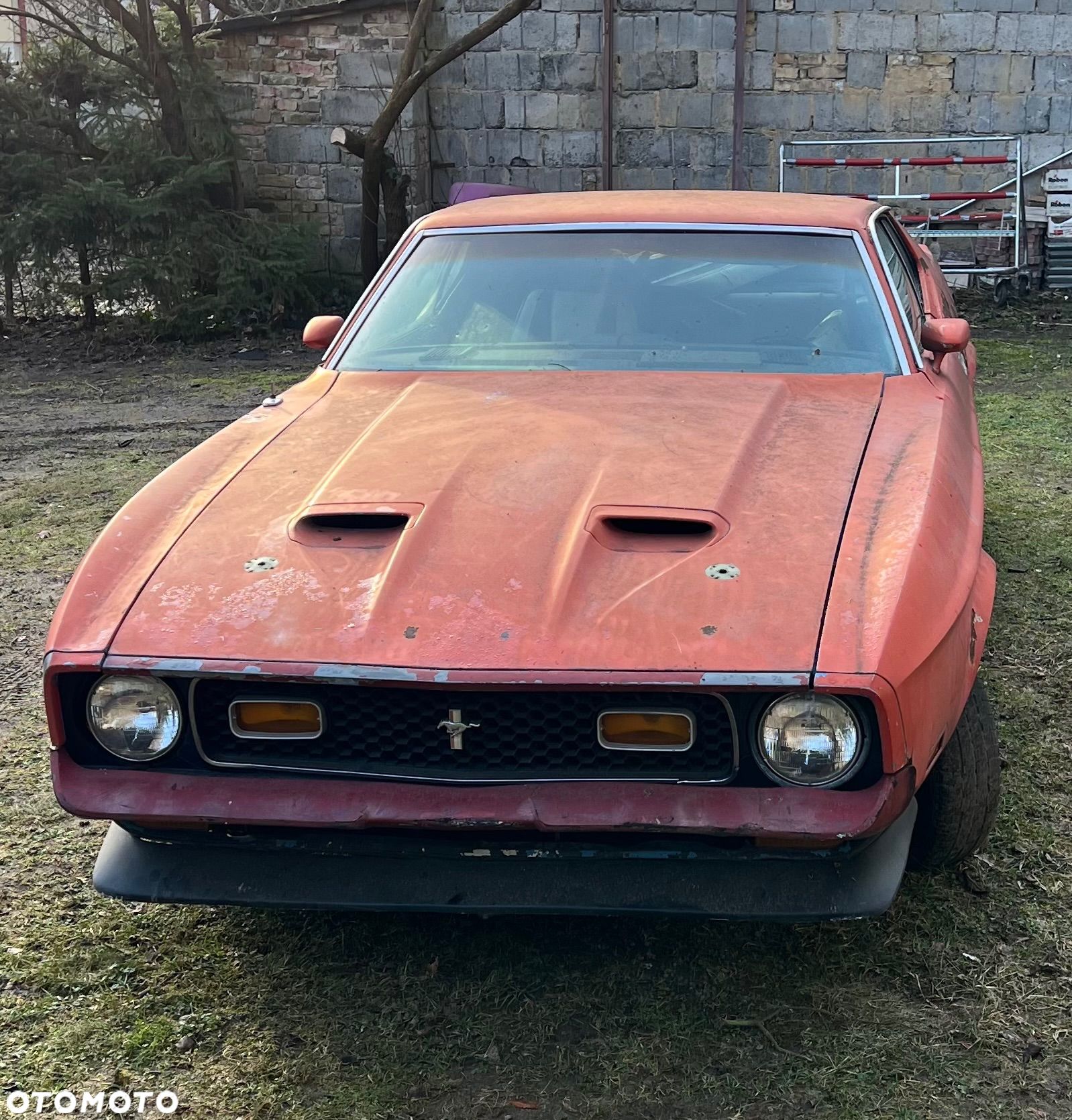 Ford Mustang - 1