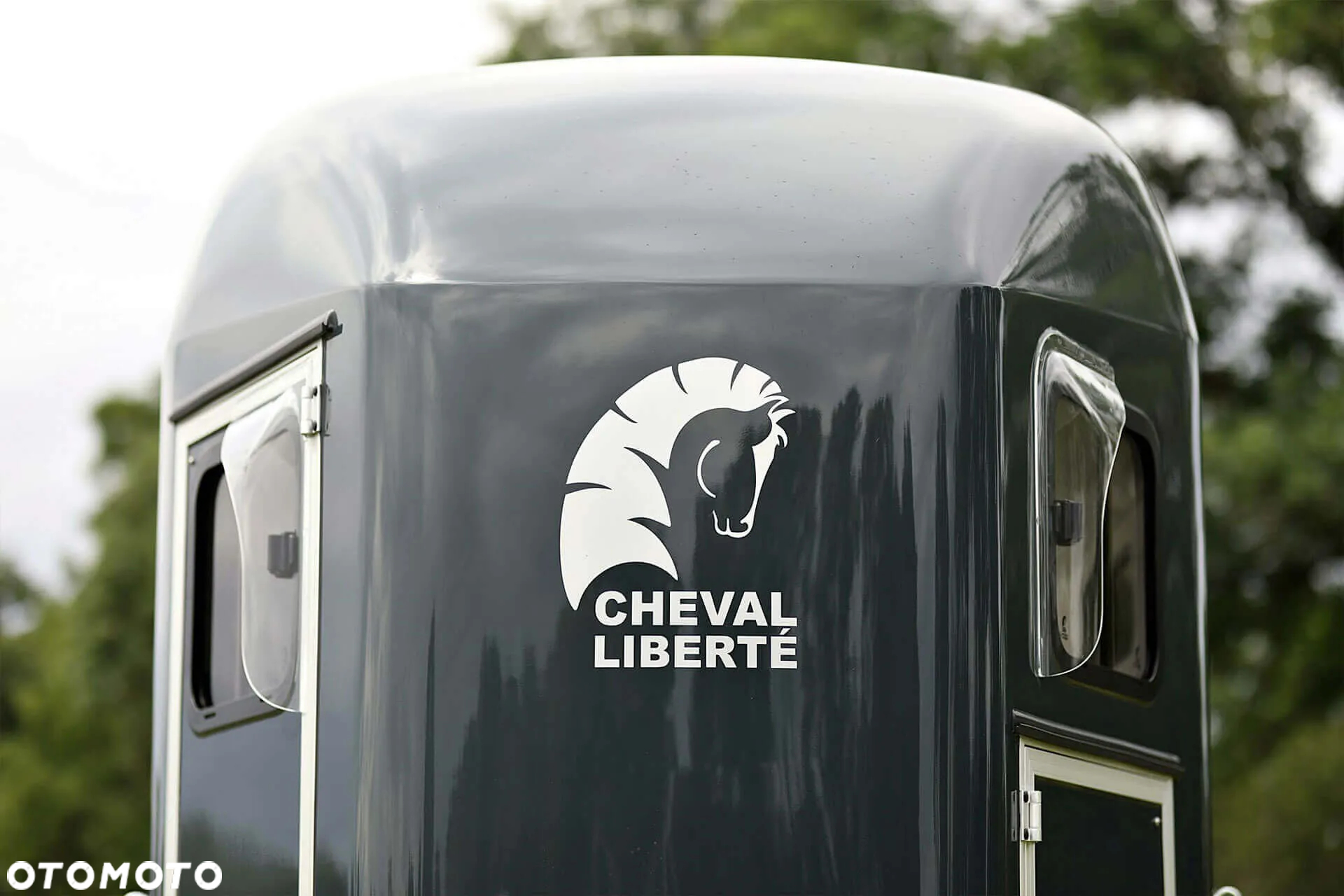 Cheval Liberte Gold III - 21