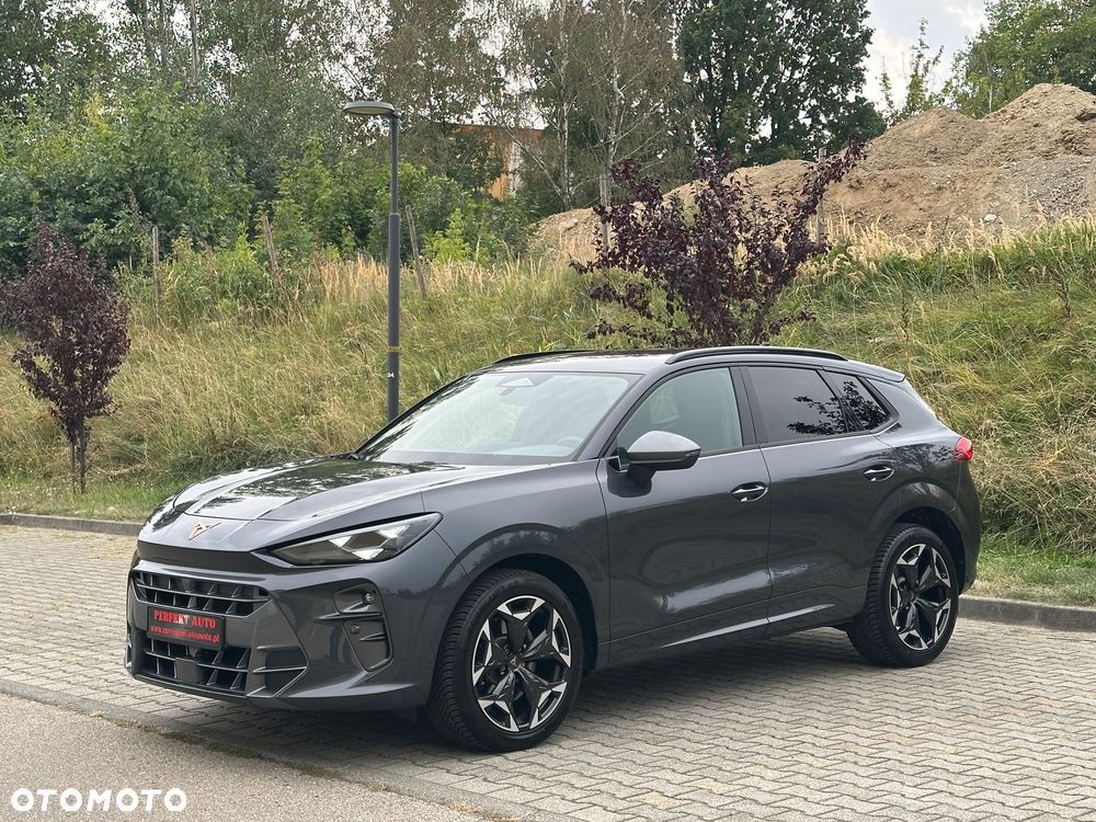 Cupra Terramar 2.0 TSI 4Drive DSG VZ - 4