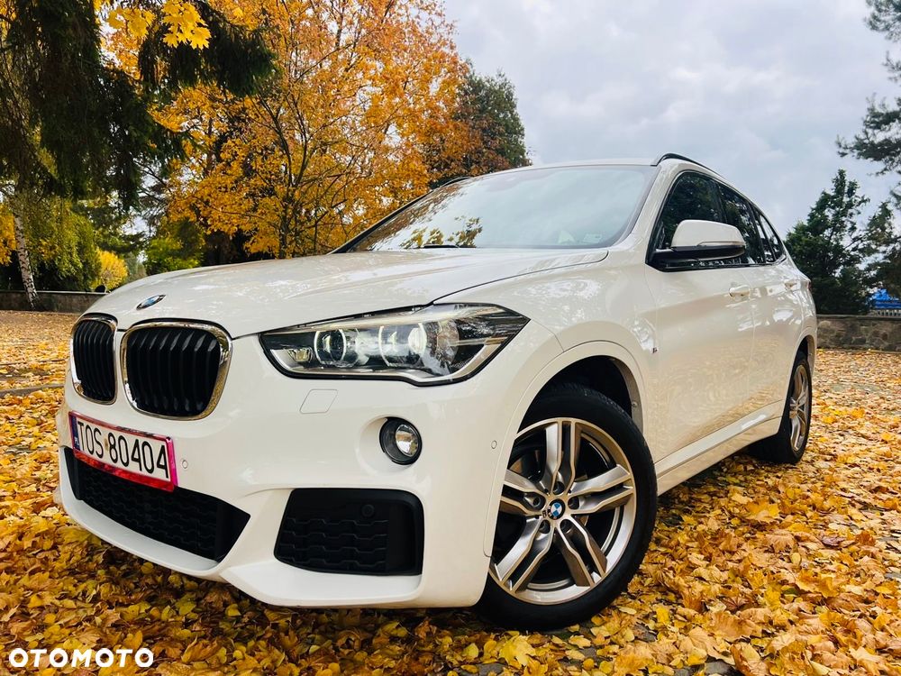 BMW X1 - 1
