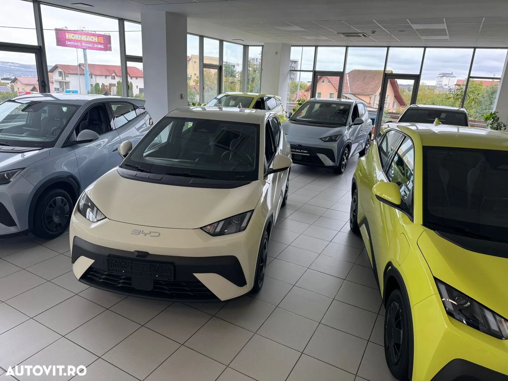 Byd Dolphin SURF Active - 26