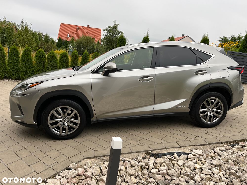 Lexus NX 300h F Sport Edition AWD - 6