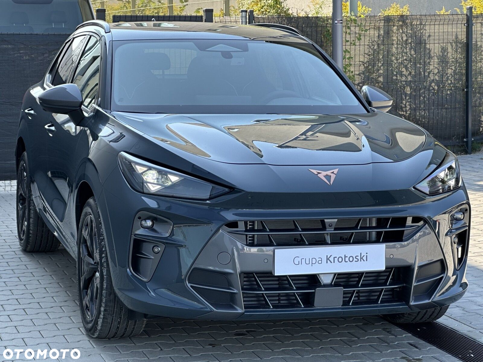 Cupra Terramar - 4