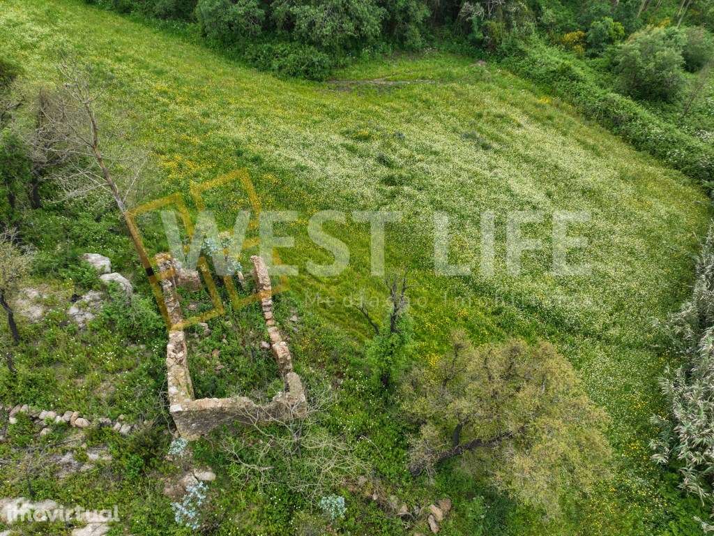 Terreno Rústico - Natural e Agroflorestal - Com 17062m2 - Com dois ... - Grande imagem: 4/19