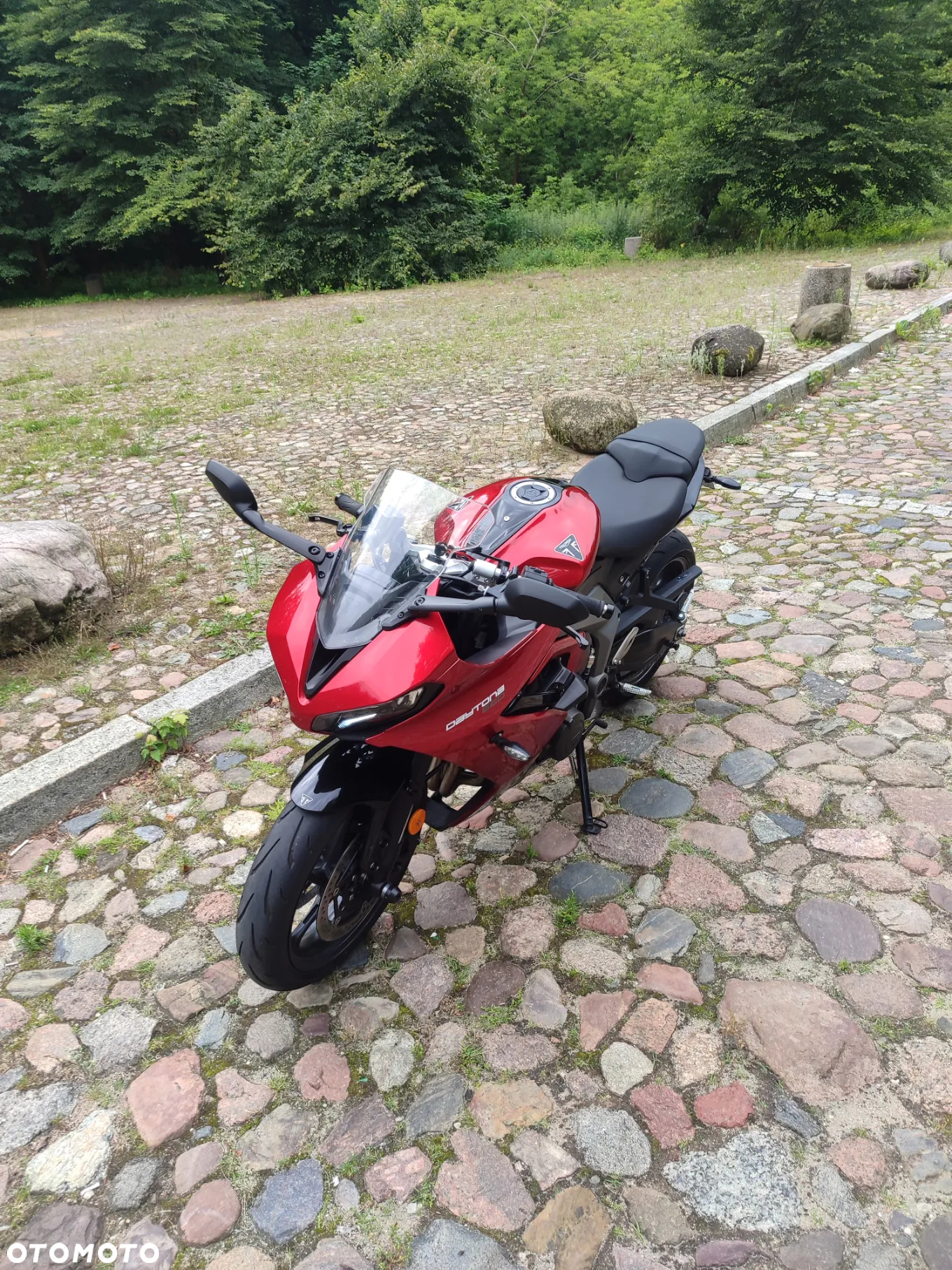 Triumph Daytona - 8