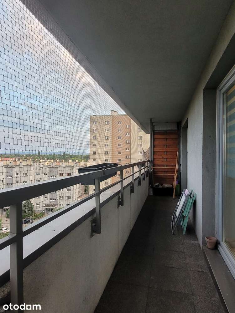 Ładne, 2 pokoje, balkon, blisko parku AFW, tramwaj, od zaraz