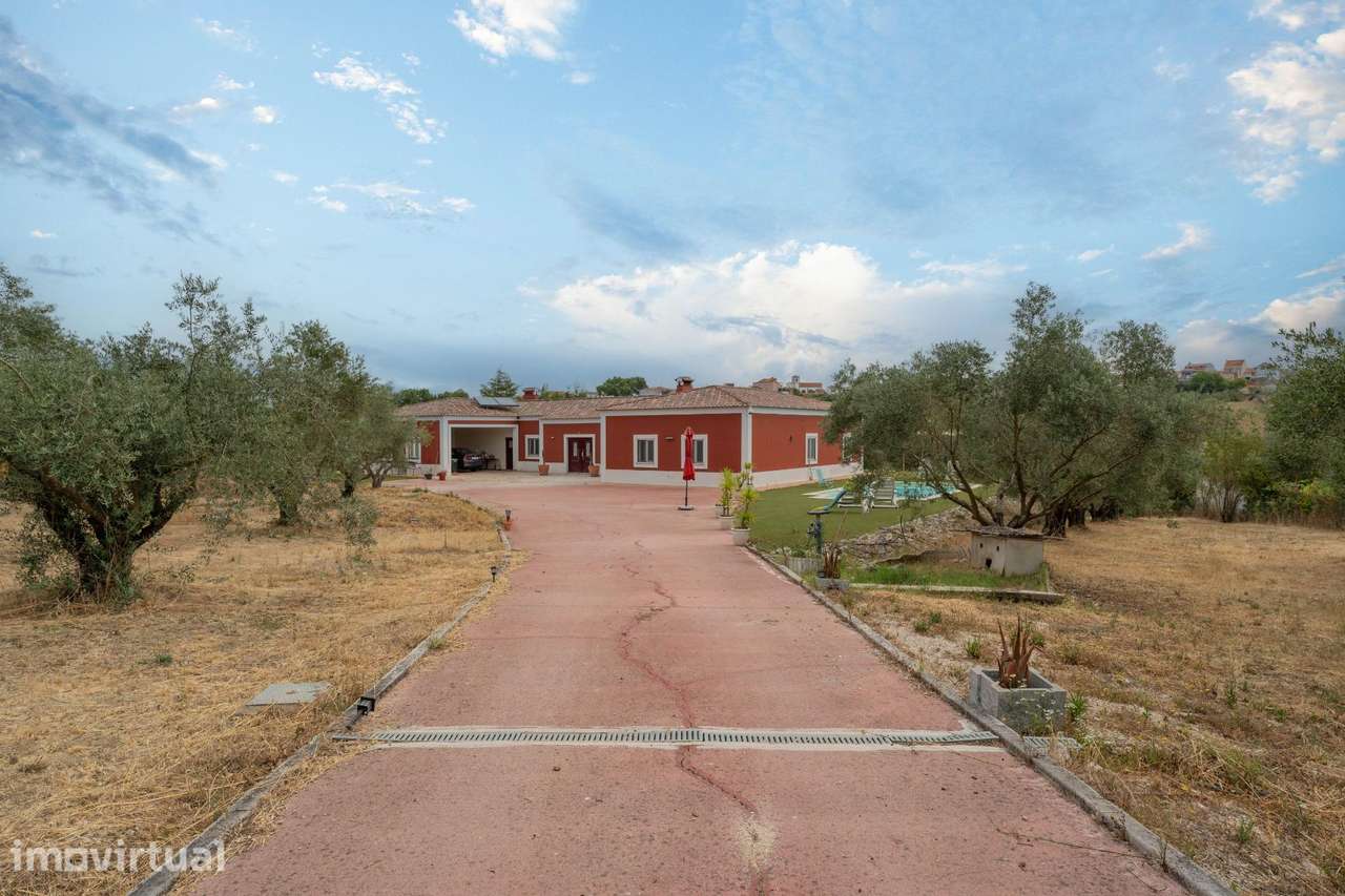 Moradia T4 com olival e piscina em Alcanhões — a 10 minutos de... - Grande imagem: 5/48