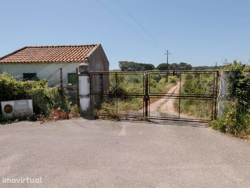 Espaço de armazéns com 2396 m2, três habitações e terreno com 89000m2 - Grande imagem: 2/21