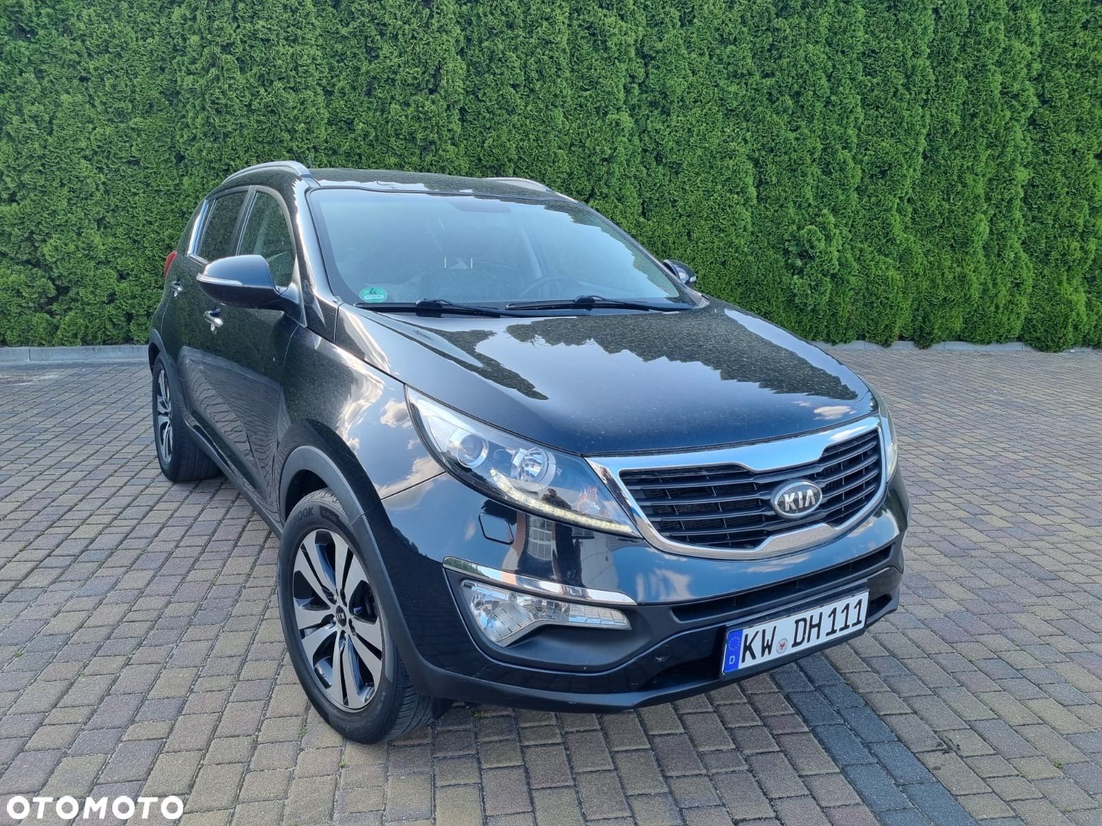 Kia Sportage - 1