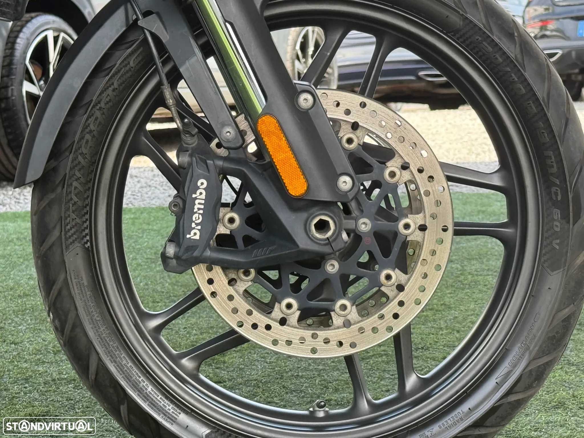 Triumph Tiger 1200 ALPINE EDITION - 23