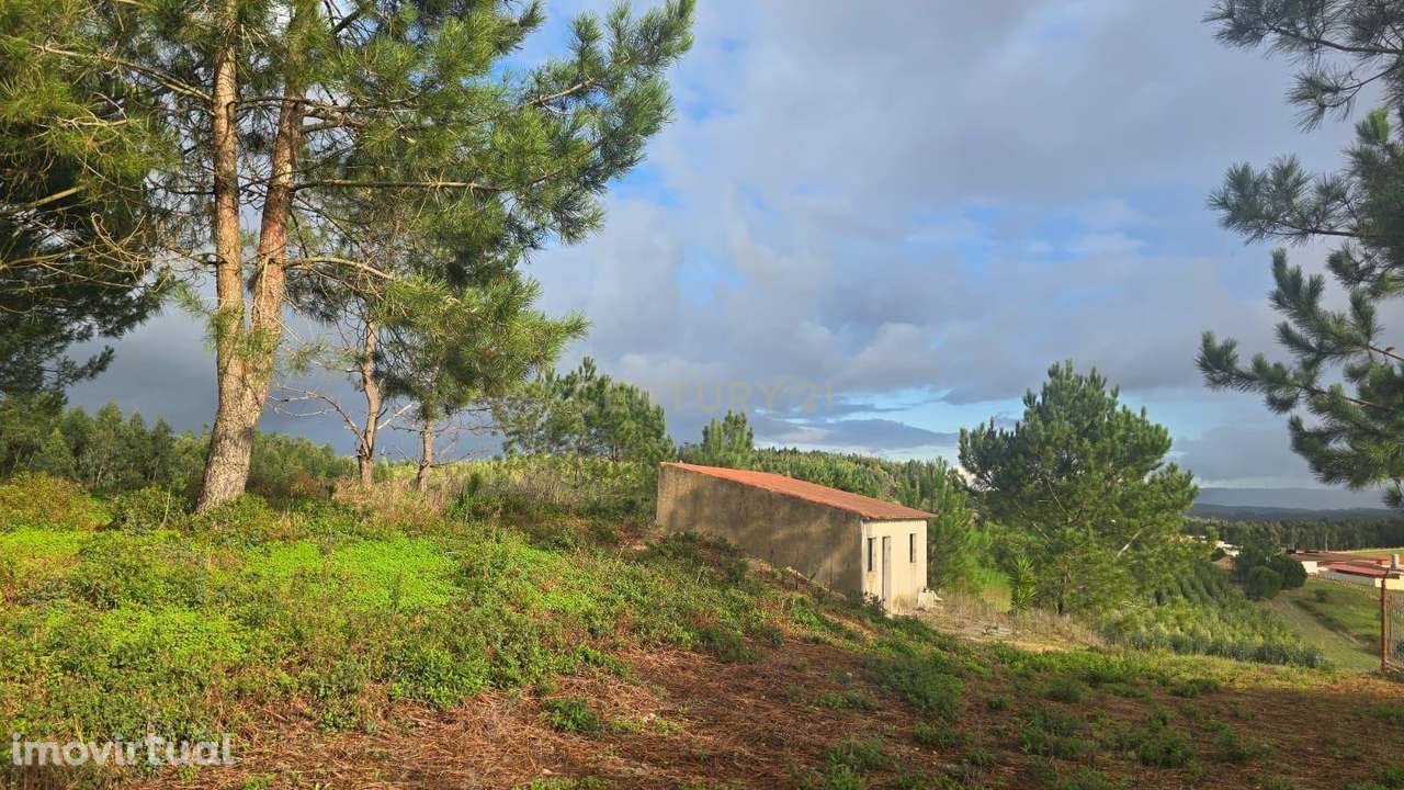 Prédio Misto com poço e pinhal, Outeiro do Bacio / Malhadas – Ramalhal - Grande imagem: 2/5