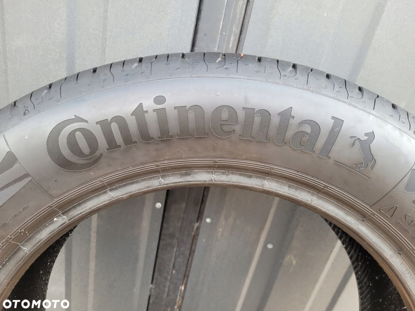 Continental EcoContact 6 195/55R16 87 H 2023rok - 7
