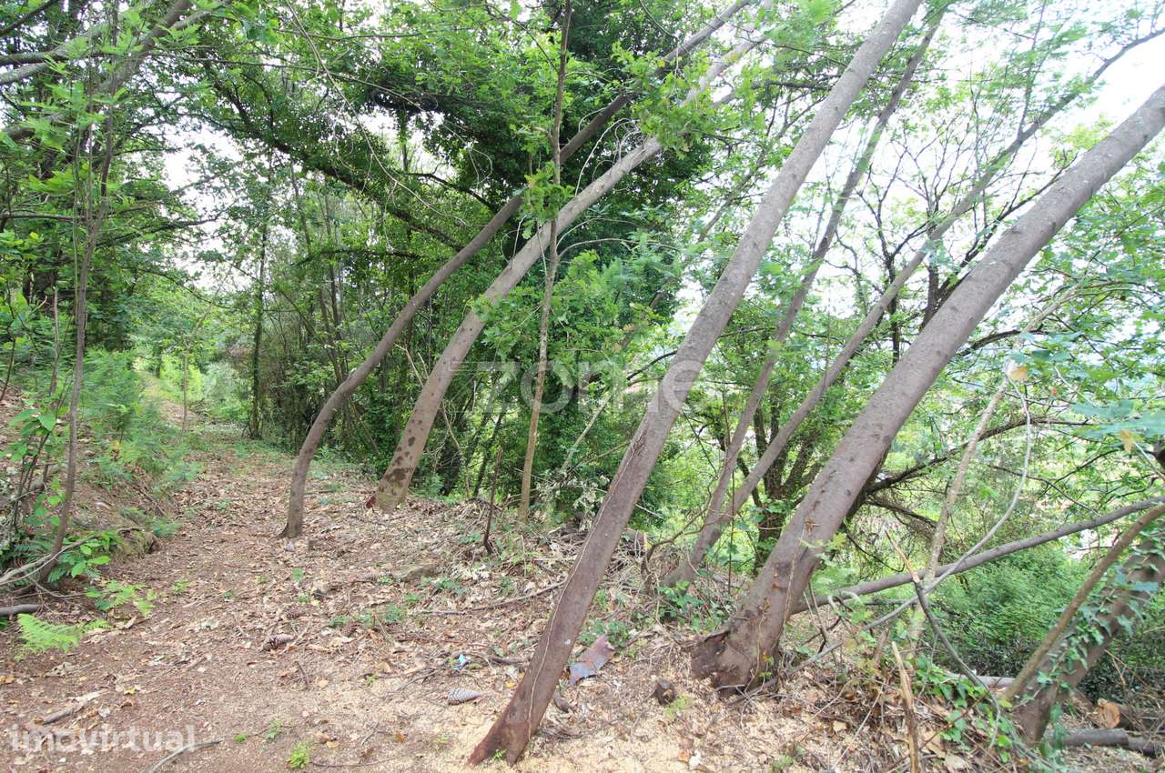 Moradia em Ruinas para recuperar em Rebordões (Souto)-Ponte de Lima - Grande imagem: 4/15