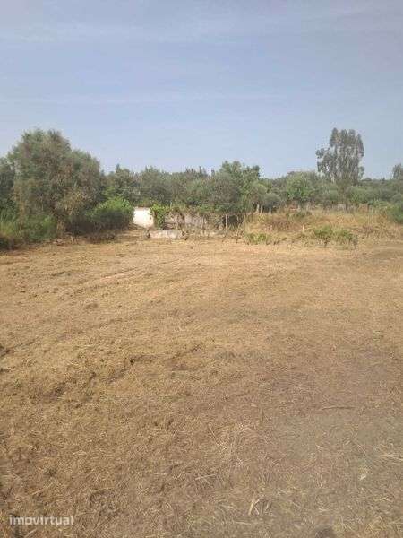 Vende-se terreno/quinta no alentejo a oito km do Crato