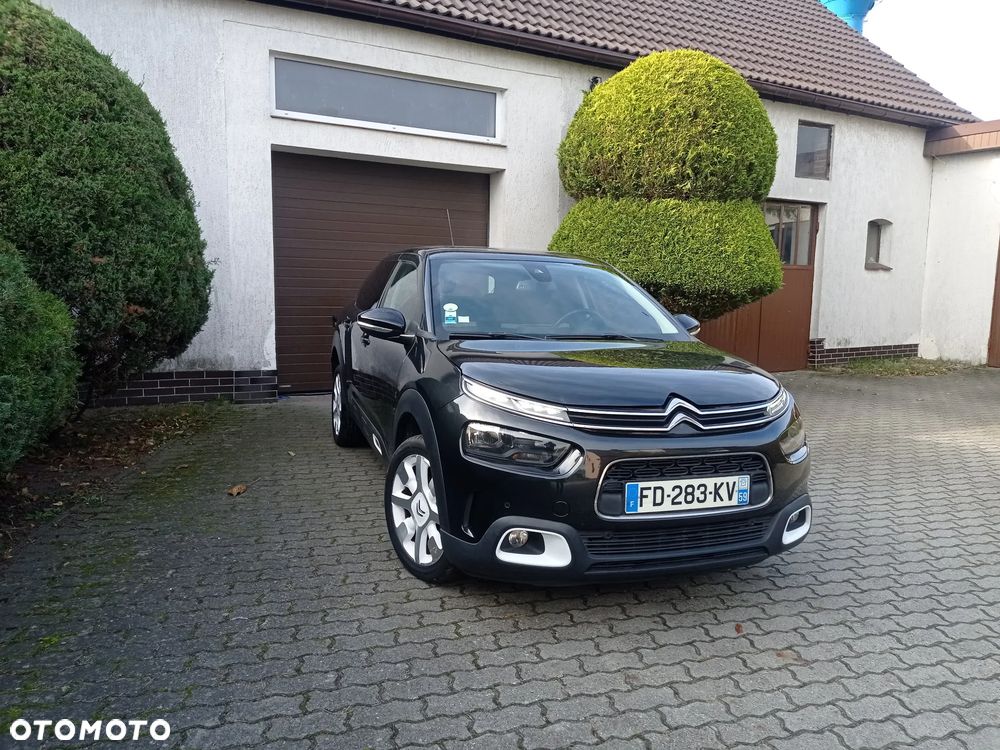 Citroen C4 Cactus 2018 photo 3