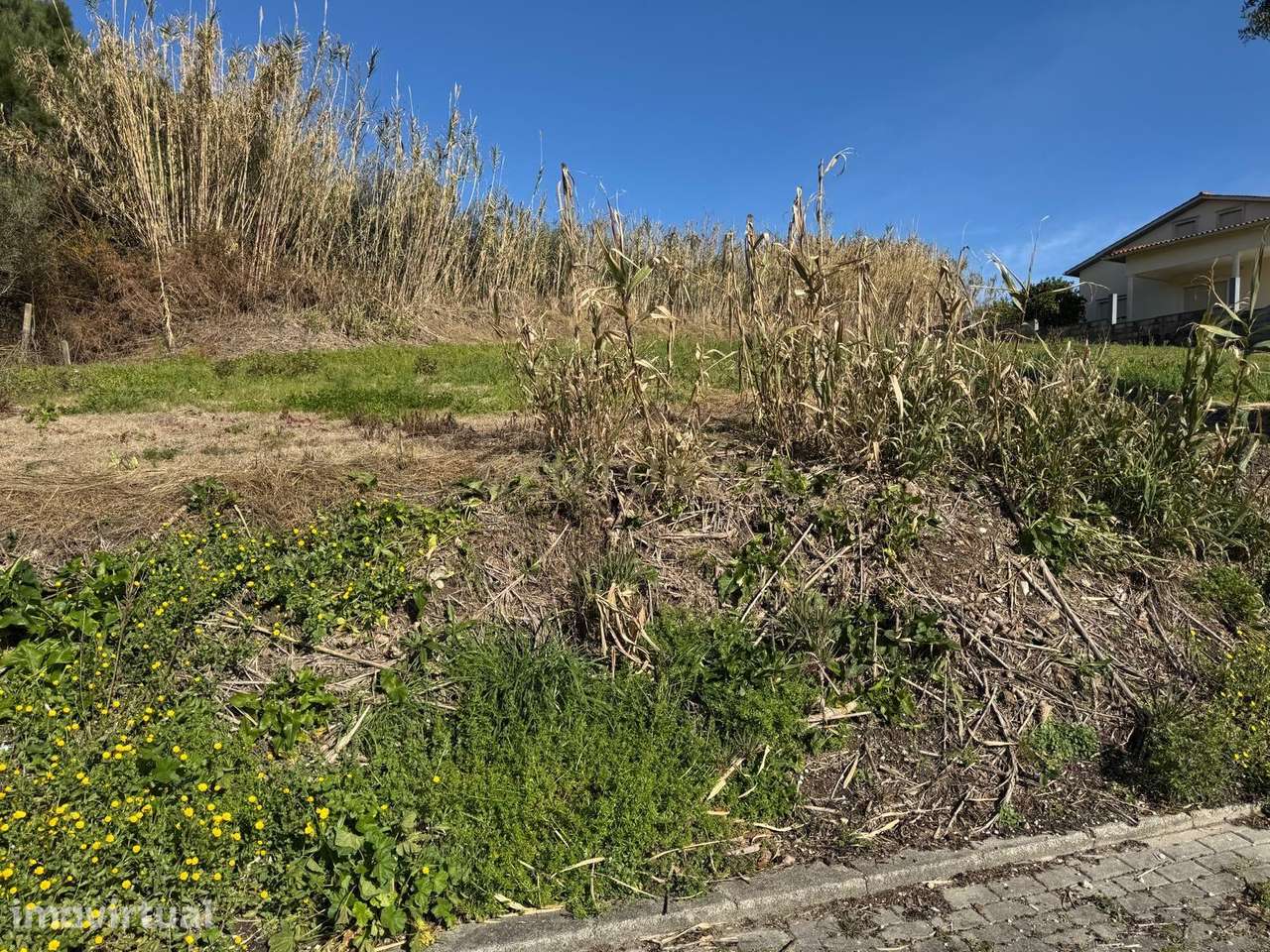 Terreno Urbano || Pombal - Grande imagem: 2/11