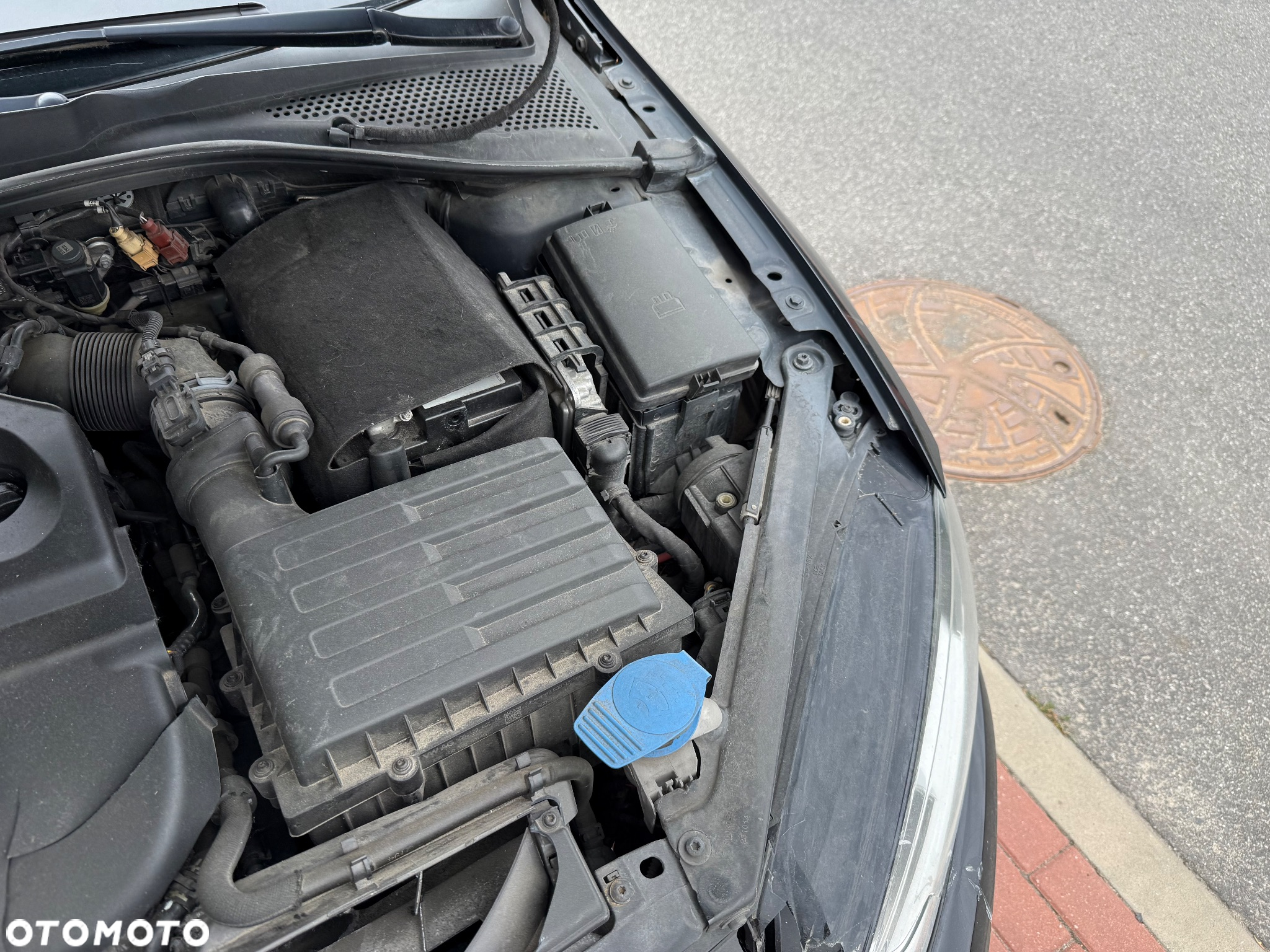 Volkswagen Golf VII 1.6 TDI BMT Trendline - 10