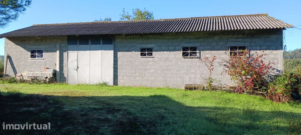 Fantástica Quinta nas Encostas do Rio Dão - Grande imagem: 2/17