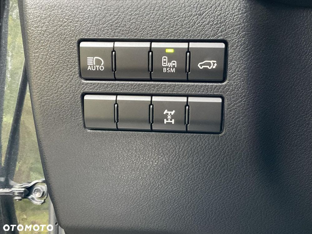Lexus NX 300 GPF F Sport Edition AWD - 34
