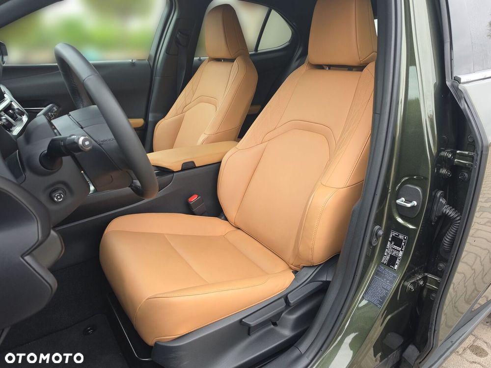 Lexus UX 300h F Sport Design - 11