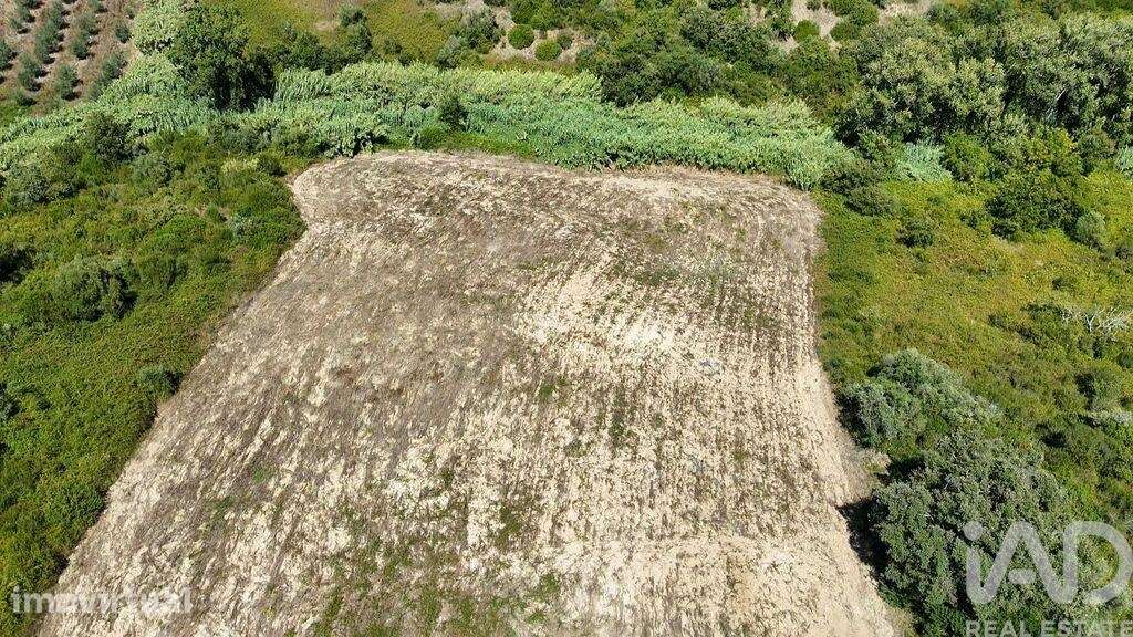 Terreno Agrícola em Azambujeira e Malaqueijo - Grande imagem: 5/8