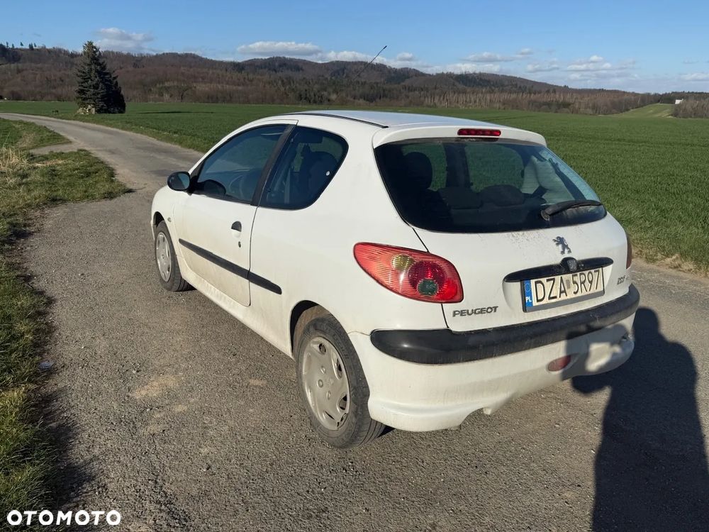 Peugeot 206 - 9