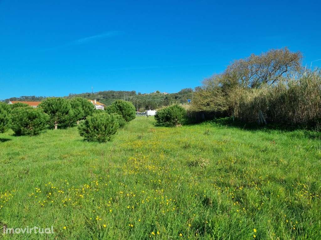 Terreno de 8.293m2 na Tornada - Caldas da Rainha - Grande imagem: 3/12