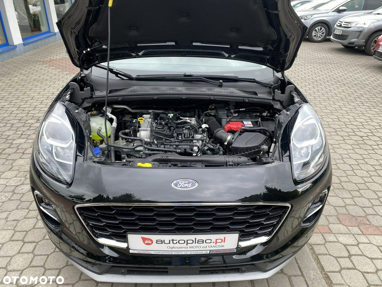 Ford Puma - 32