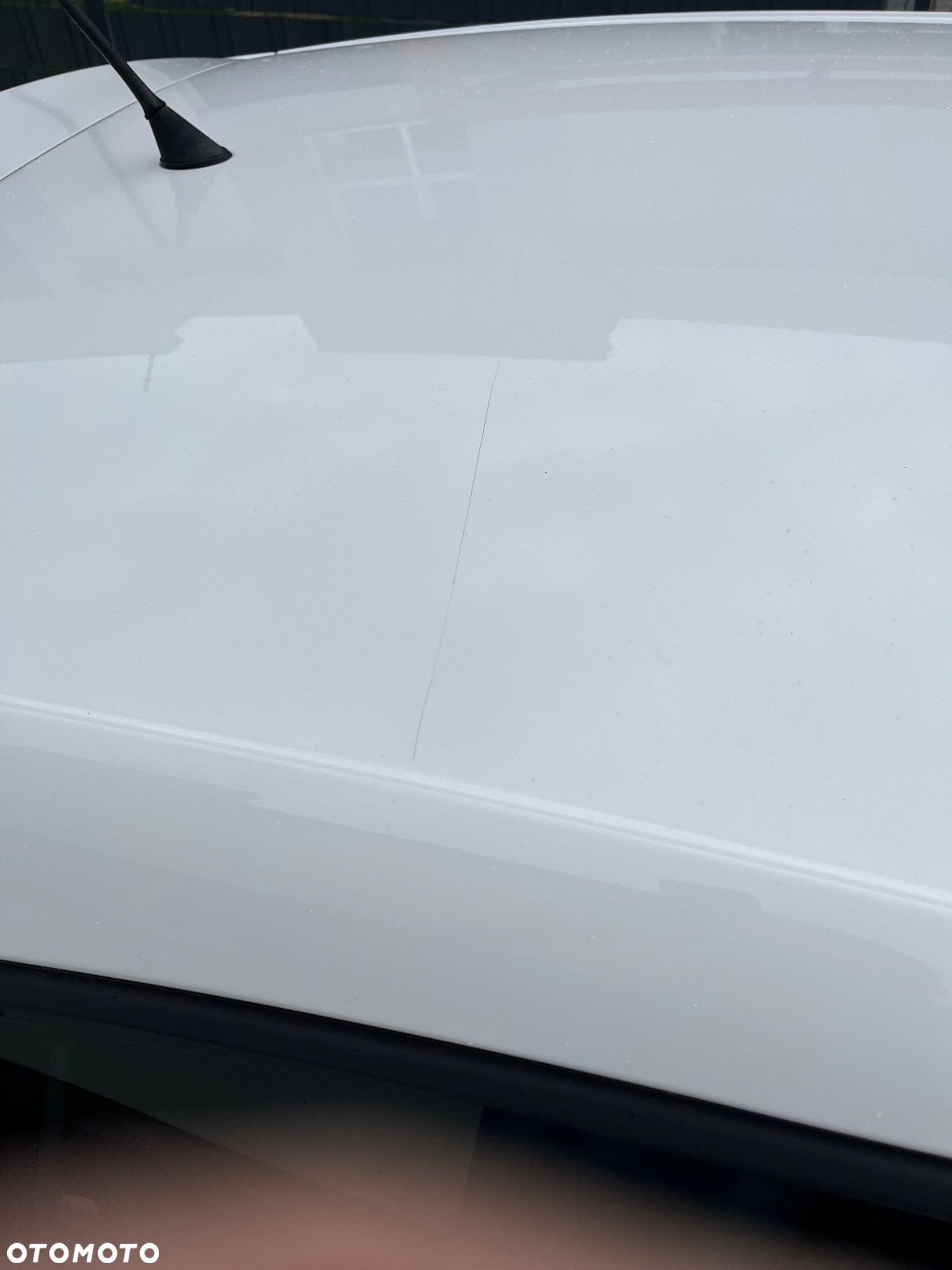 Seat Leon 1.6 TDI DPF E-Ecomotive Style - 11