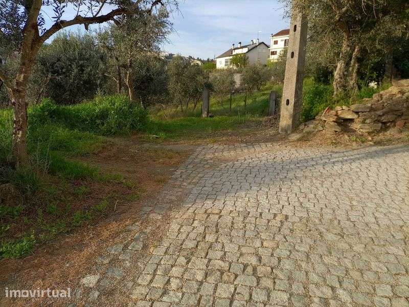Terreno urbanizável na Rua da Barroca do Bicho - Peso, Covilhã - Grande imagem: 5/11