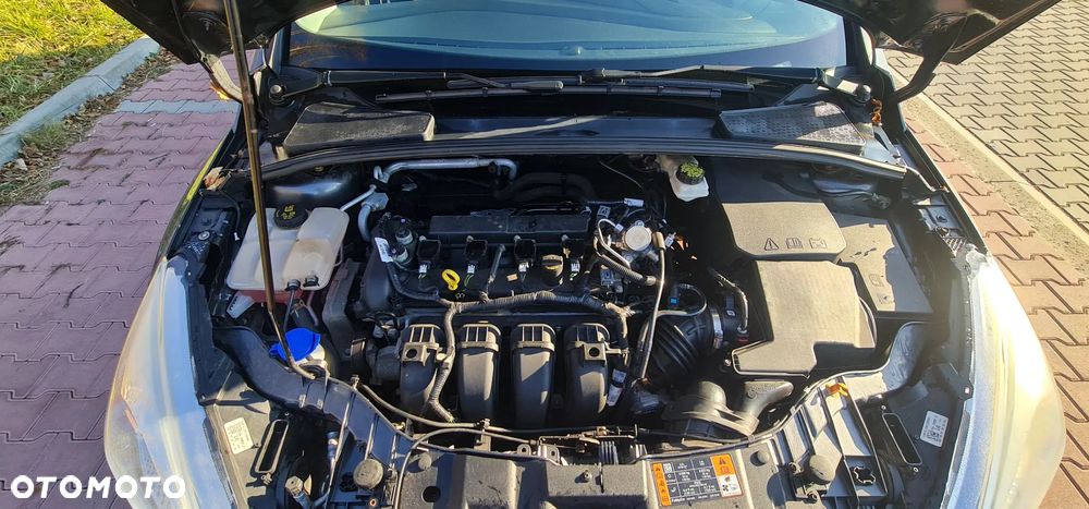 Ford Focus - 14