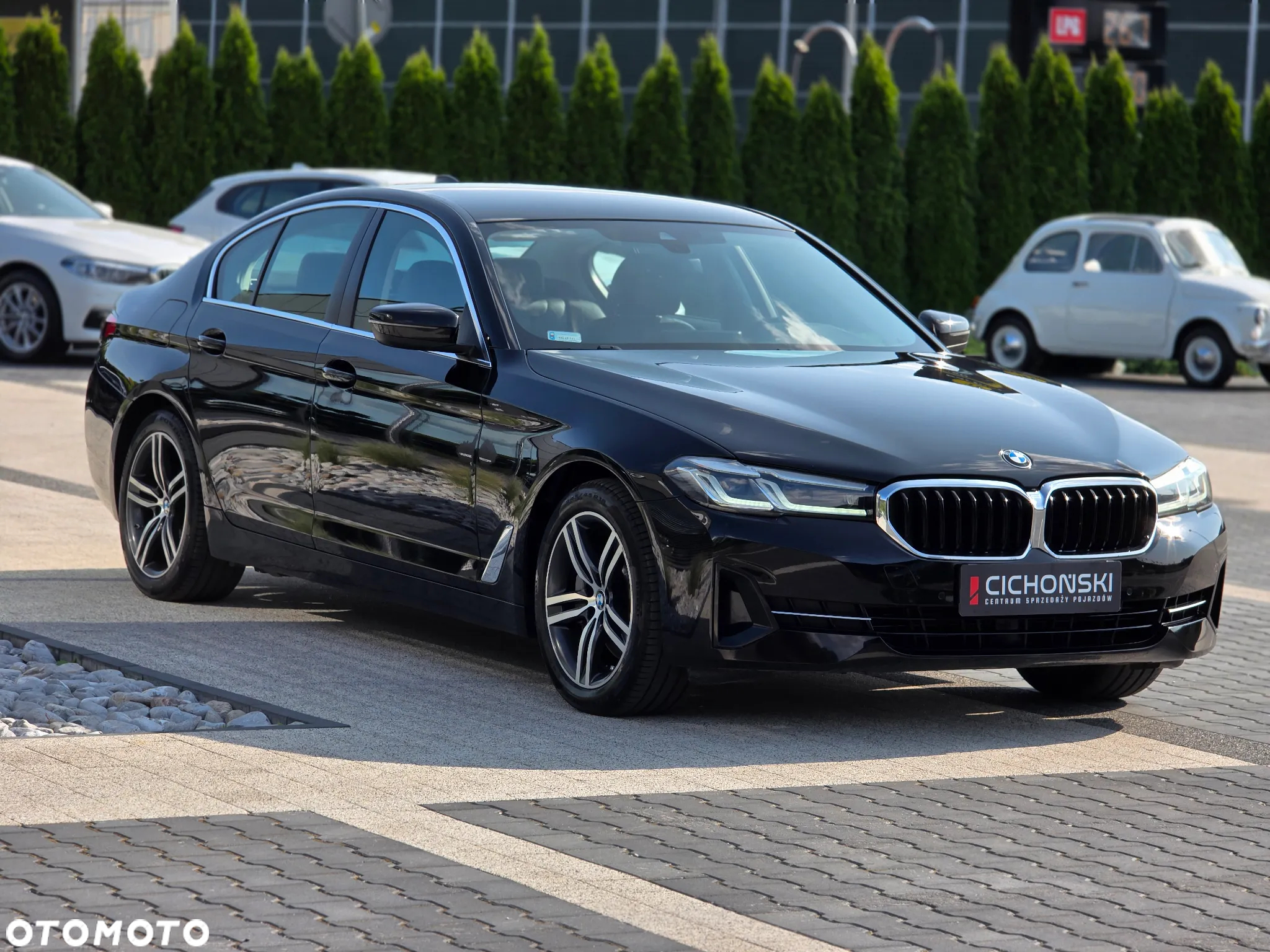 BMW Seria 5 530i xDrive mHEV Luxury Line sport - 8