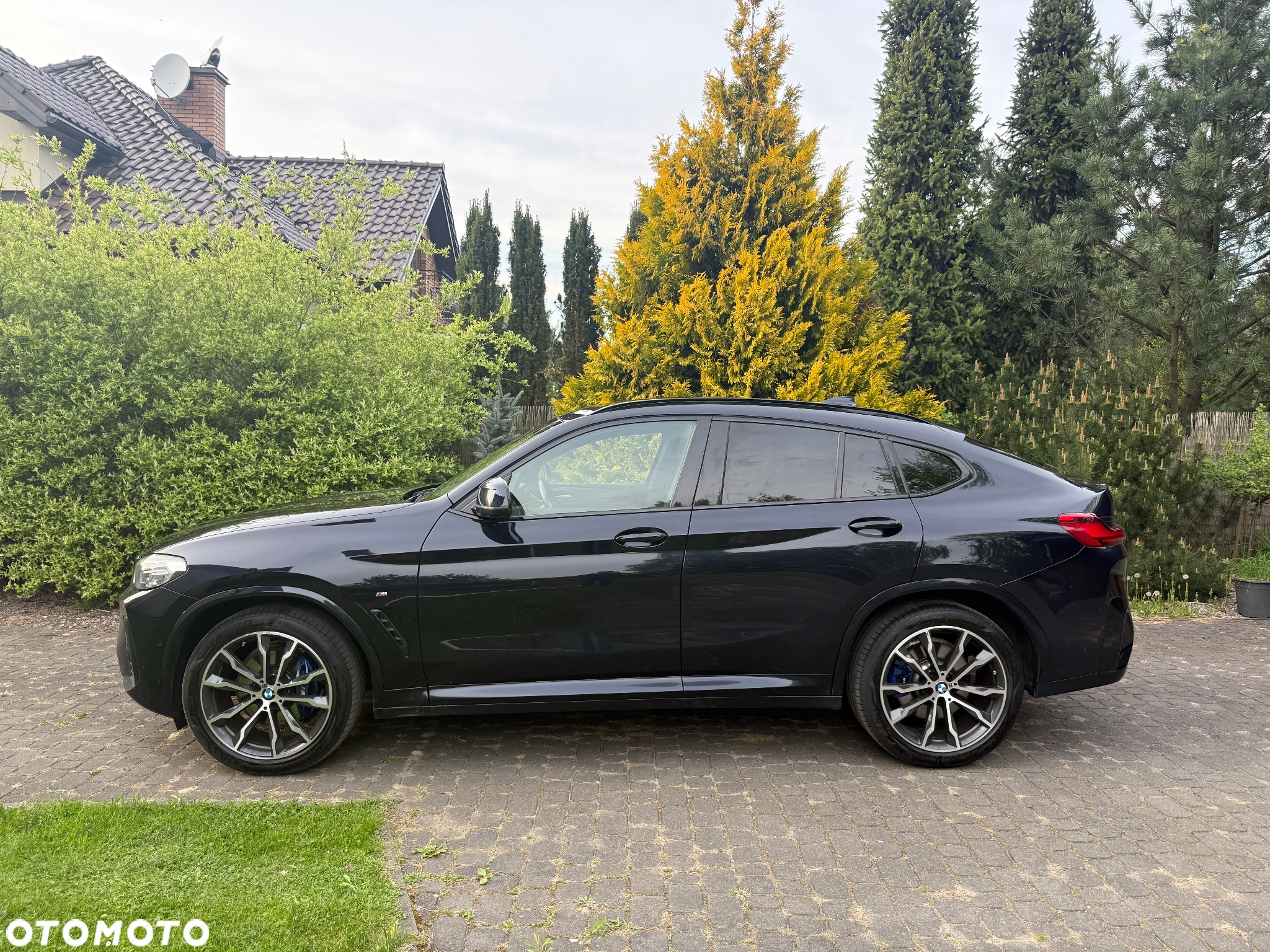 BMW X4 xDrive30d mHEV M Sport sport - 2