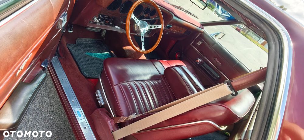Ford Ranchero - 19