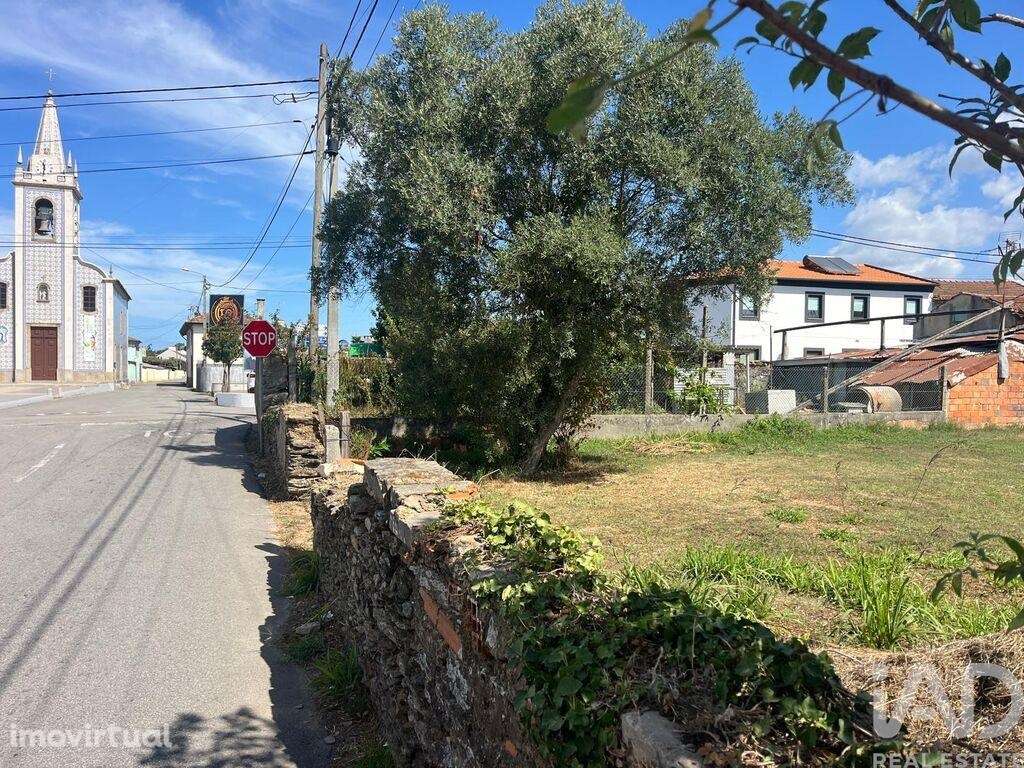 Terreno Agrícola em Ovar, São João, Arada e São Vicente de Pereira Jus - Grande imagem: 4/11