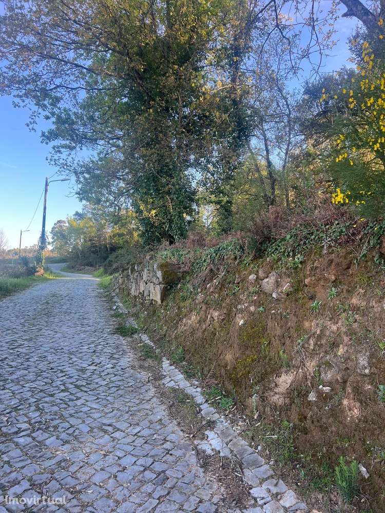 Terreno com 12.900 m² e Vistas Desafogadas na Tapada – Figueiró dos Vi - Grande imagem: 4/7