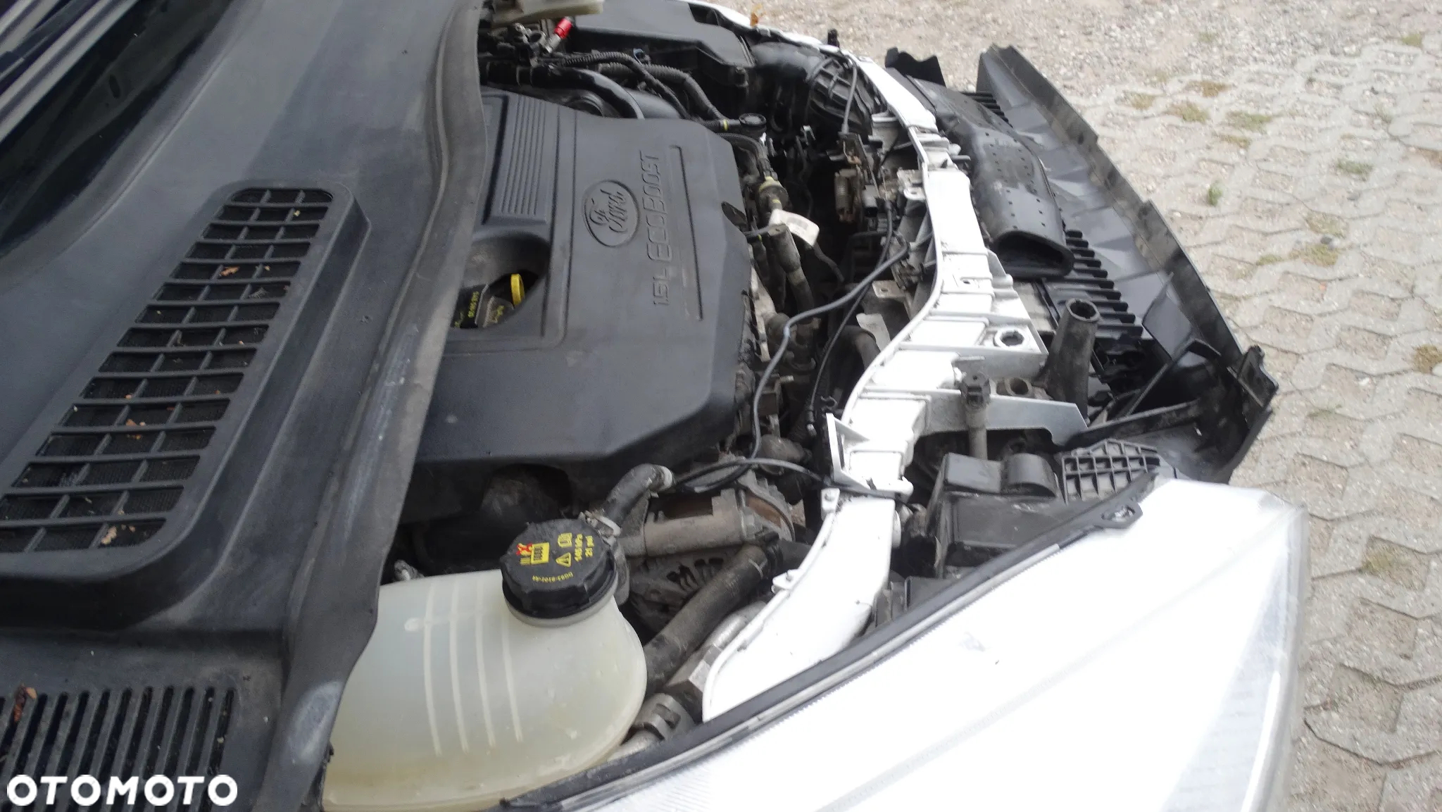 Ford Kuga 1.5 EcoBoost AWD Trend ASS - 12