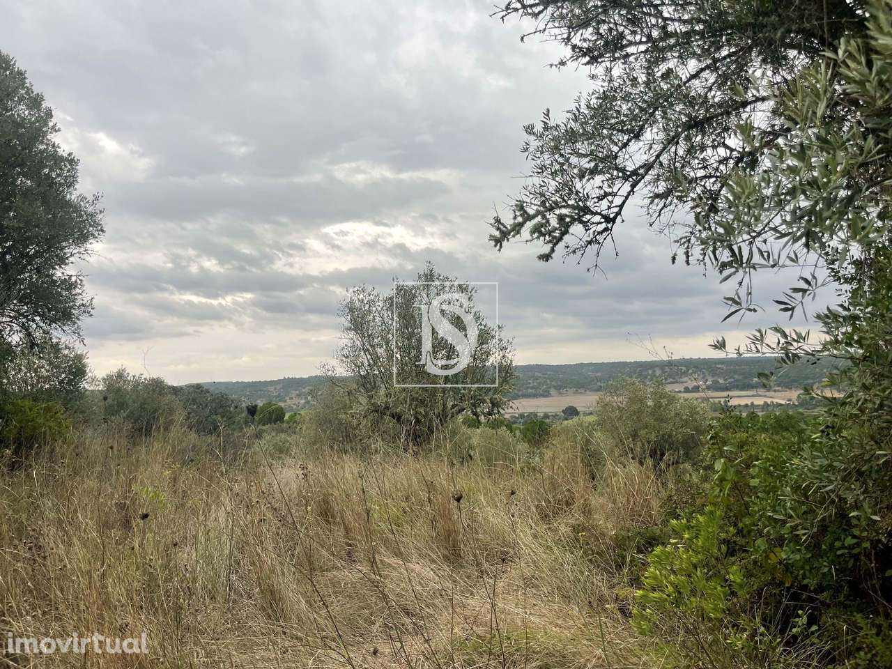 Quintinha em Montargil - Grande imagem: 2/30