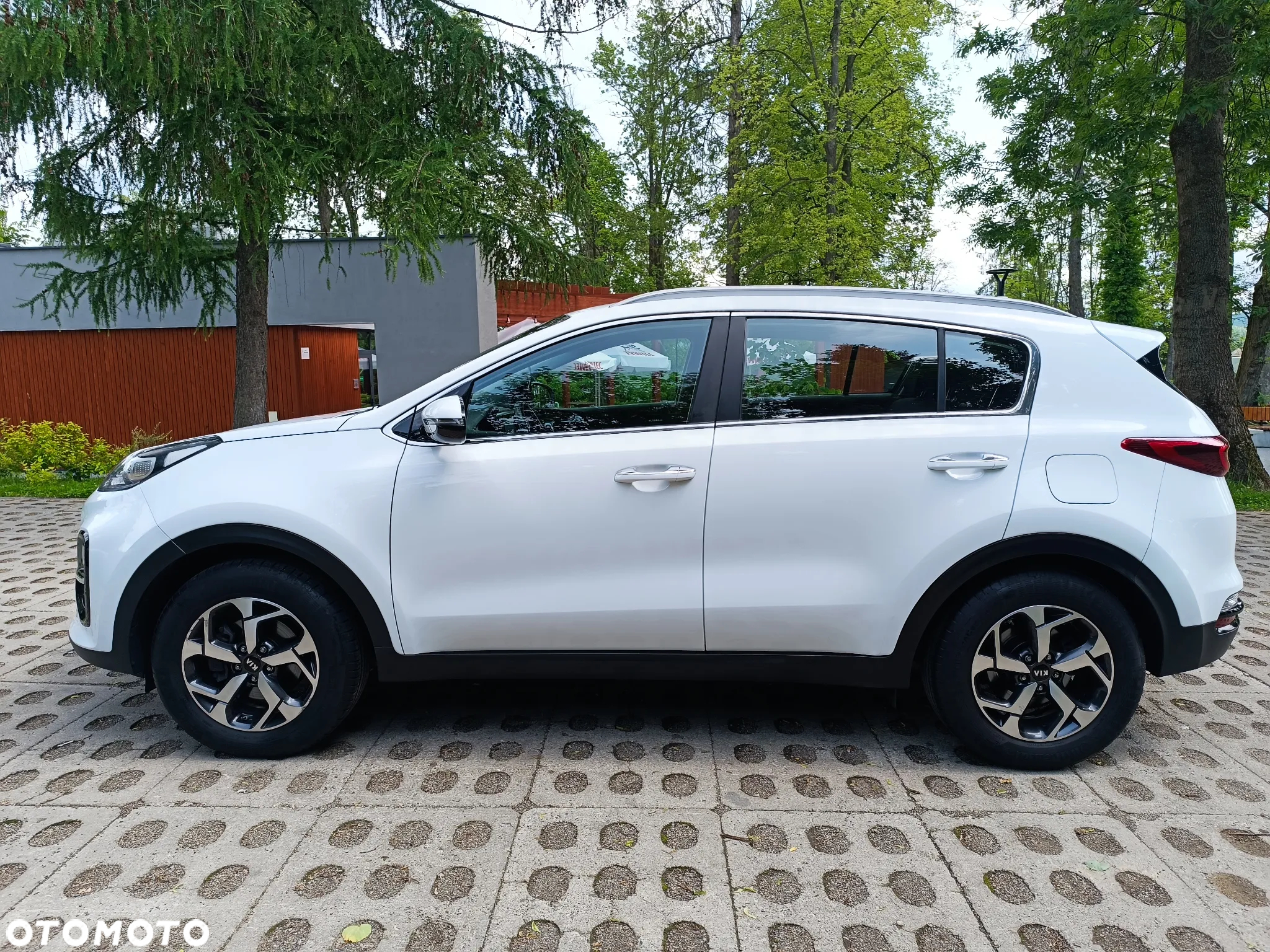 Kia Sportage 1.6 CRDI Black Edition Plus 2WD - 5