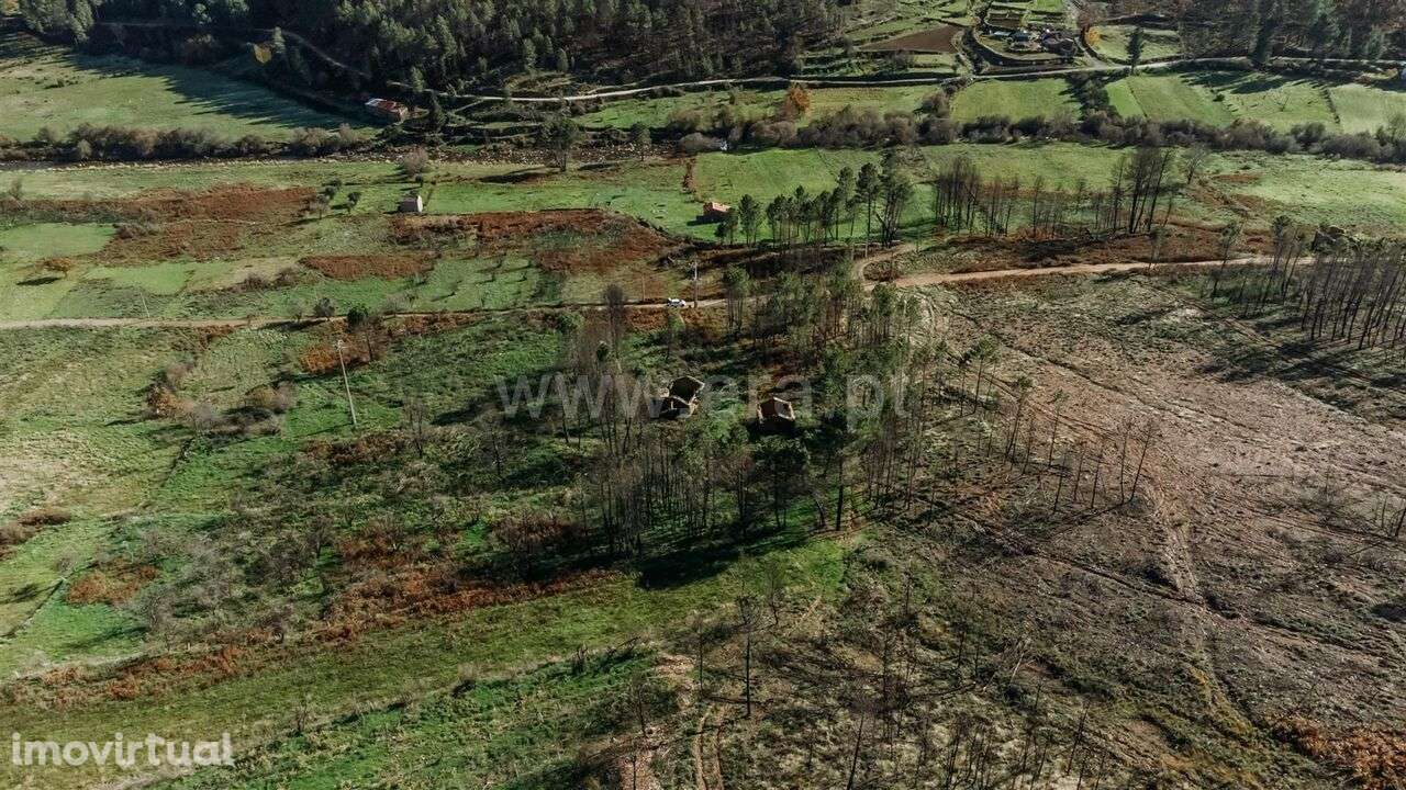 Moradia T1 / Covilhã, Serra da Estrela - Grande imagem: 4/7