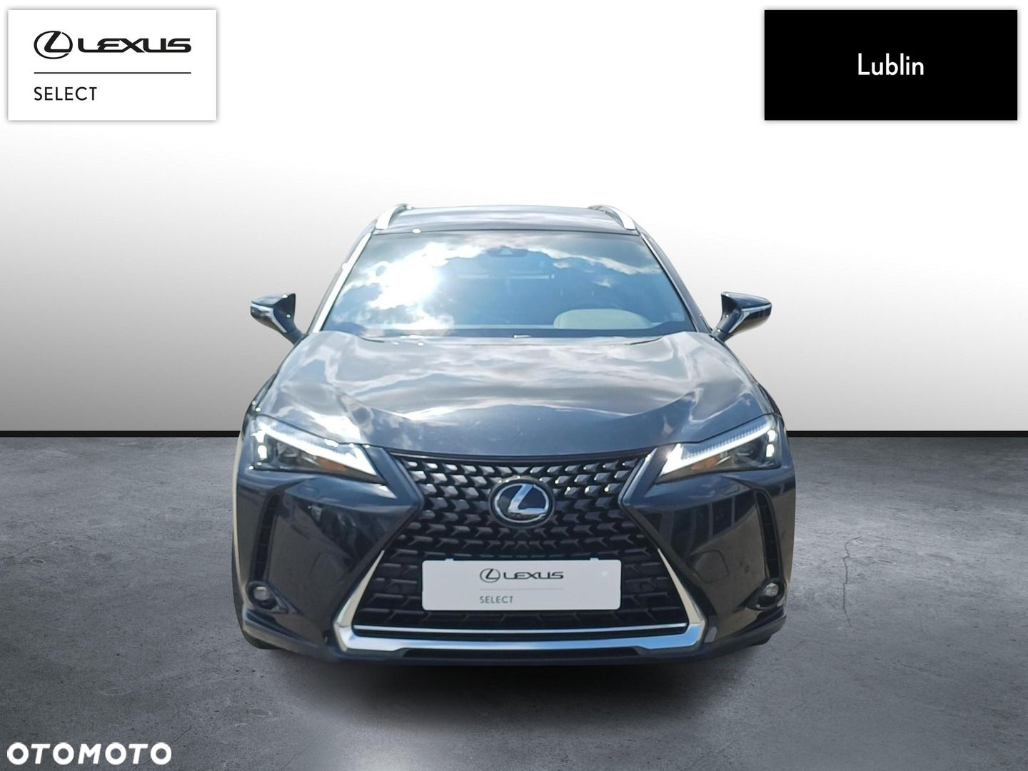 Lexus UX 250h GPF Business 2WD - 8