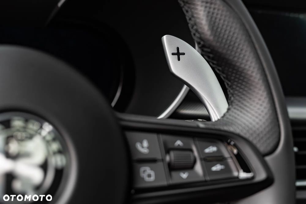 Alfa Romeo Stelvio 2.0 Turbo Veloce Q4 - 30