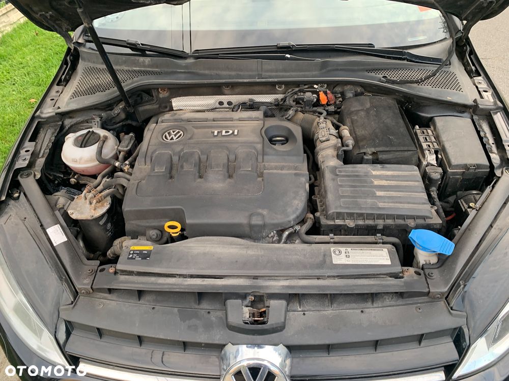 Volkswagen Golf 1.6 TDI DPF DSG Highline - 26