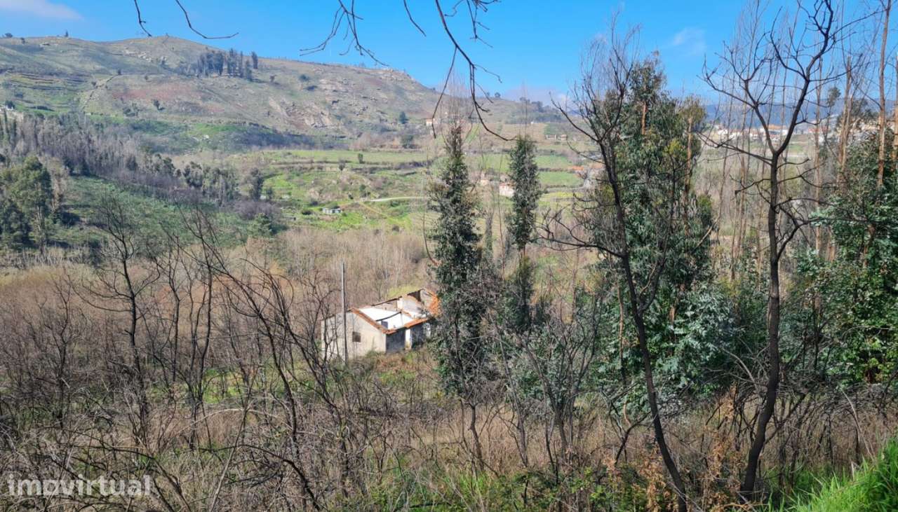 Venda Quinta com Ruína para Restauro, Ancede, Baião - Grande imagem: 3/30