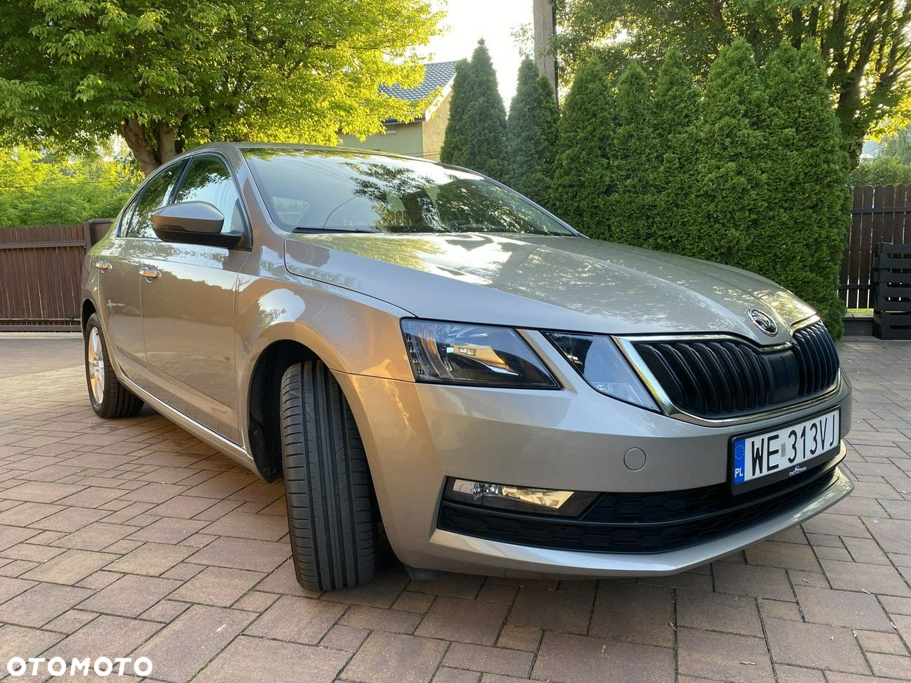 Skoda Octavia 1.5 TSI ACT Active - 7