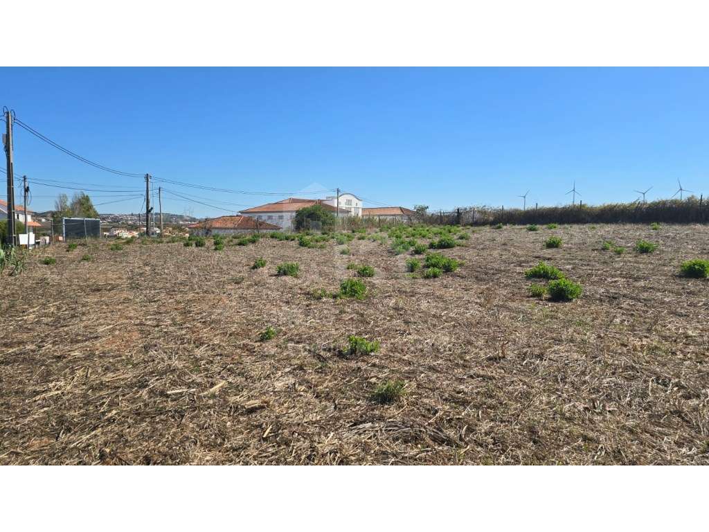 Vende Terreno - Ericeira 20 Km, A Casa das Casas - Grande imagem: 2/7